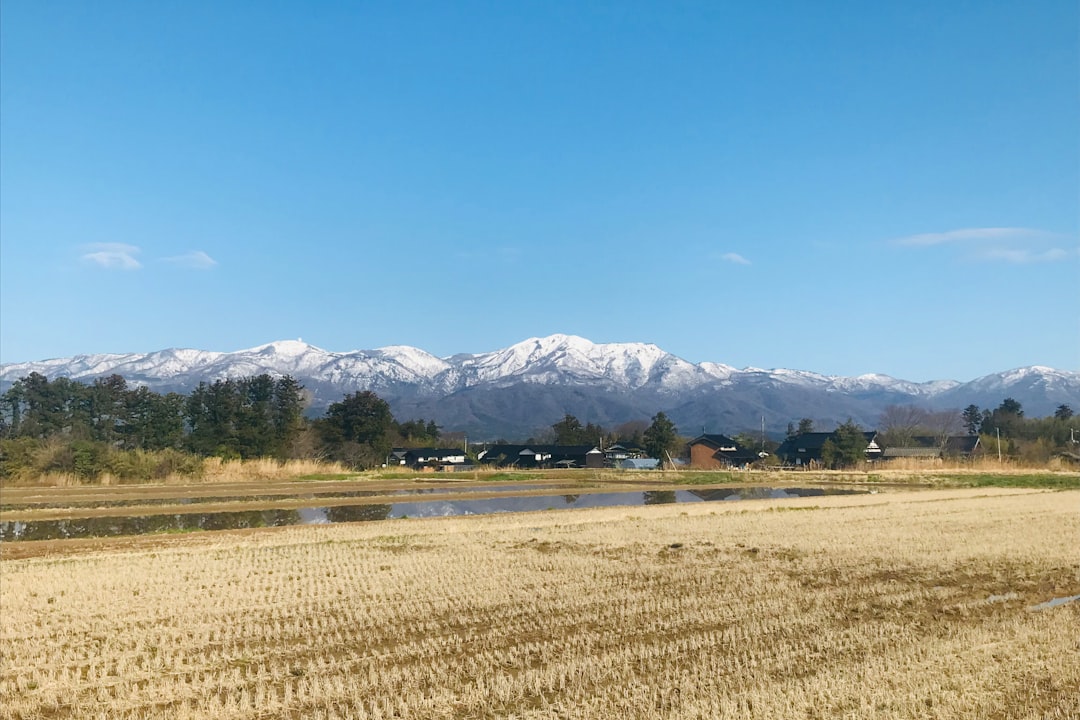 新潟県の田園風景と山並みのイメージ
